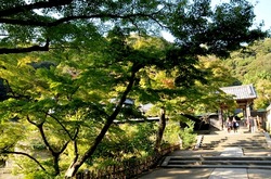 北鎌倉の紅葉散策円覚寺の舎利殿前