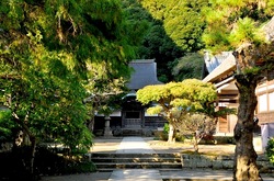 北鎌倉の紅葉散策円覚寺の舎利殿前