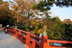 鎌倉の紅葉散策鶴岡八幡宮の源氏池