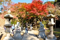 北鎌倉建長寺から天園ハイキングコース紅葉散策
