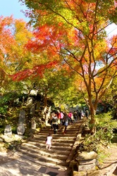 北鎌倉建長寺から天園ハイキングコース紅葉散策