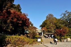 鎌倉紅葉散策の鎌倉宮
