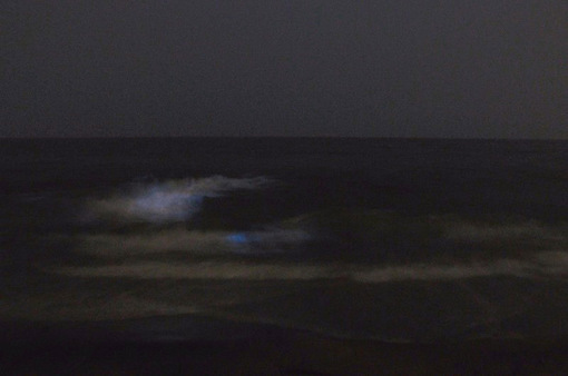 湘南鎌倉の七里ガ浜の海から見た夜光虫2014