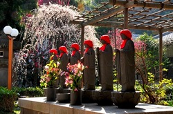 藤沢片瀬常立寺の梅花と六地蔵