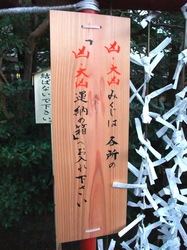 鶴岡八幡宮の凶・大凶おみくじ