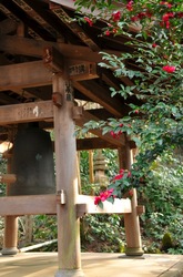 鎌倉瑞泉寺の椿