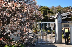 鎌倉英勝寺の山門の梅花