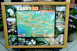 鎌倉長谷寺の眺望散策路