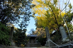鎌倉紅葉散策2013長谷寺の安国論寺の山門前