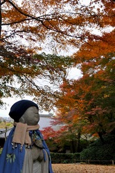 北鎌倉明月院菖蒲畑の紅葉と青地像