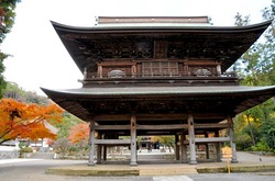 北鎌倉円覚寺仏殿前の紅葉