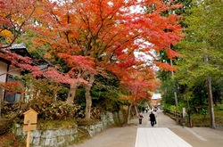 北鎌倉円覚寺の紅葉