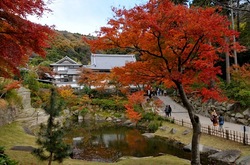 北鎌倉円覚寺妙香池の紅葉