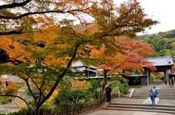 北鎌倉円覚寺の妙香池と舎利殿前の紅葉