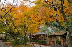 北鎌倉明月院月笑軒の紅葉