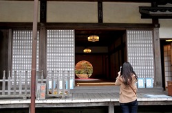 北鎌倉明月院の本堂丸窓からの紅葉