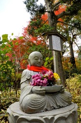 北鎌倉明月院の花想い地蔵と紅葉