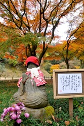 北鎌倉明月院の赤地蔵と紅葉