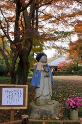 北鎌倉明月院の青地蔵と紅葉