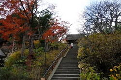 北鎌倉東慶寺山門の紅葉