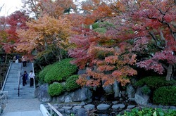 鎌倉長谷寺の放生池前の紅葉
