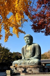 鎌倉高徳院大仏の紅葉