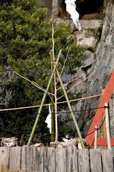 鎌倉鶴岡八幡宮で初詣2014