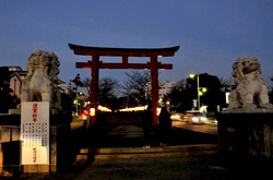 鎌倉若宮大路(段葛)のぼんぼり