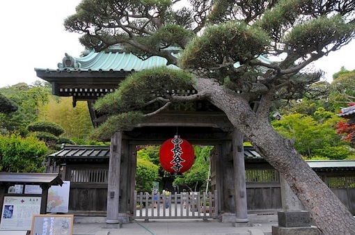 鎌倉新緑チェック2014長谷の長谷寺の山門