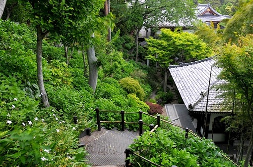 鎌倉新緑チェック2014長谷の長谷寺の眺望散策路