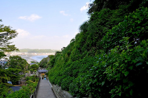 鎌倉新緑チェック2014極楽寺の成就院の参道と海