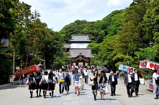 鎌倉鶴岡八幡宮の本殿が漆の塗り替え工事中