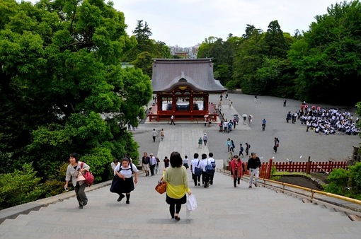鎌倉鶴岡八幡宮の本殿が漆の塗り替え工事中