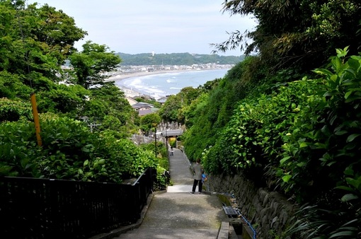 鎌倉紫陽花(あじさい)チェック2014極楽寺の成就院