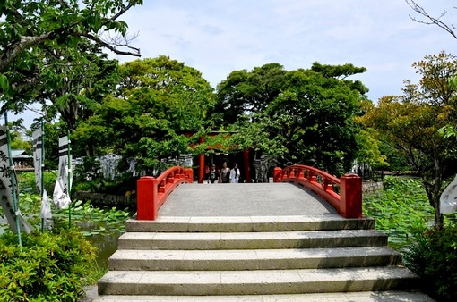 鎌倉鶴岡八幡宮境内の新緑スポット源氏池から旗上弁財天社