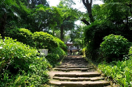 北鎌倉の浄智寺の紫陽花