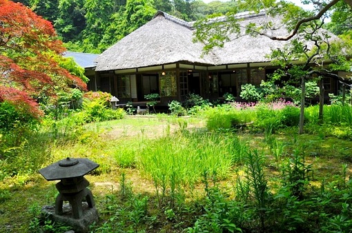 北鎌倉の浄智寺の紫陽花