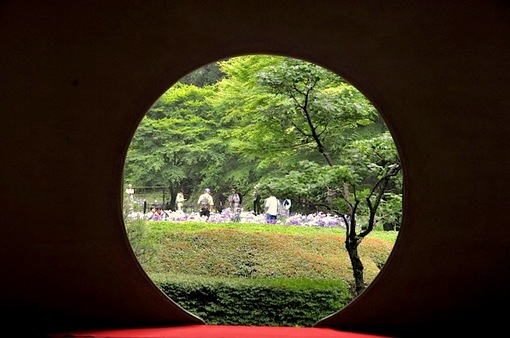 鎌倉紫陽花(あじさい)チェック2014北鎌倉明月院円窓からの菖蒲畑