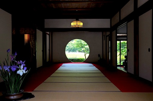 鎌倉紫陽花(あじさい)チェック2014北鎌倉のあじさい寺明月院の裏庭園の花菖蒲