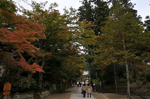 北鎌倉円覚寺の紅葉2014境内