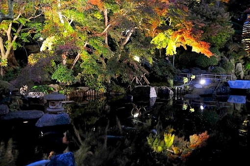 鎌倉紅葉チェック2014【長谷】長谷寺のライトアップ開始！