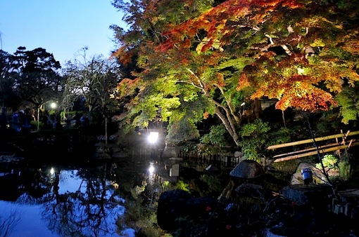 鎌倉紅葉チェック2014【長谷】長谷寺のライトアップ開始!