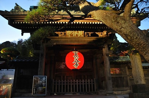 鎌倉紅葉チェック2014【長谷】長谷寺のライトアップ開始!