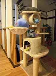 ロシアンブルーティナとキャットタワー