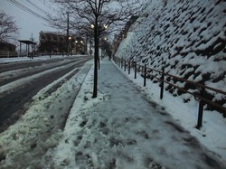 藤沢の初雪 善行の坂