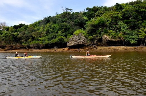 湘南から沖縄八重山旅行西表島仲間川マングローブクルーズ