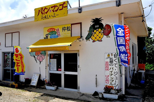 湘南から沖縄八重山旅行石垣島のパイン&マンゴーの中松商店