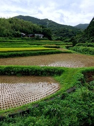 湘南藤沢から五島列島へ久賀島の田園風景