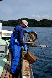 湘南藤沢から五島列島へ若松島の蛸壺漁